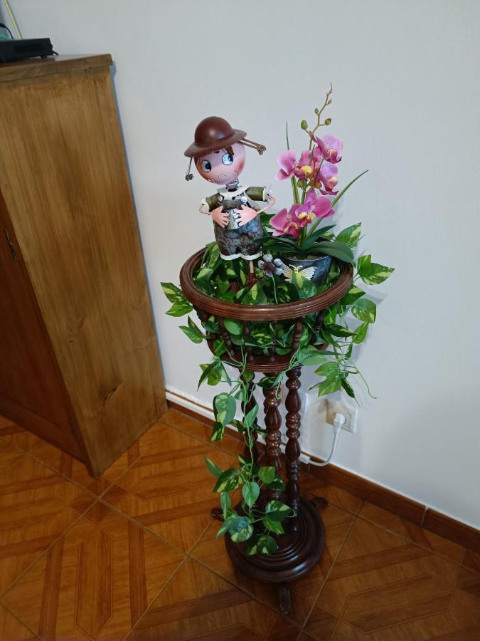 Apartamento Boca Doce ปอนตาเดลกาดา ภายนอก รูปภาพ